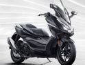 Wajah Baru Honda Forza MY 2021, AHM Tambah Fitur dan Warna