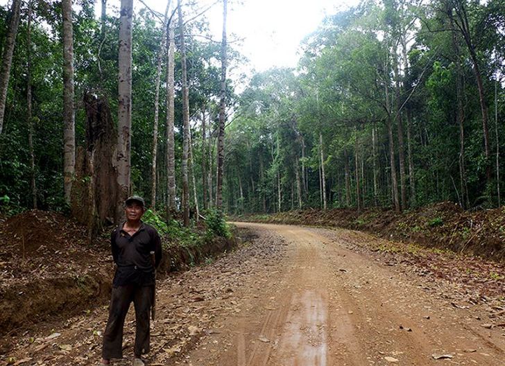 Photo of Menjaga Warisan Nenek Moyang, Hutan Adat di Landak untuk Generasi Mendatang