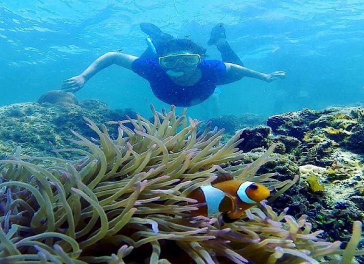 Photo of Pulau Lemukutan, Pemandangan Bawah Laut Paling Epik 