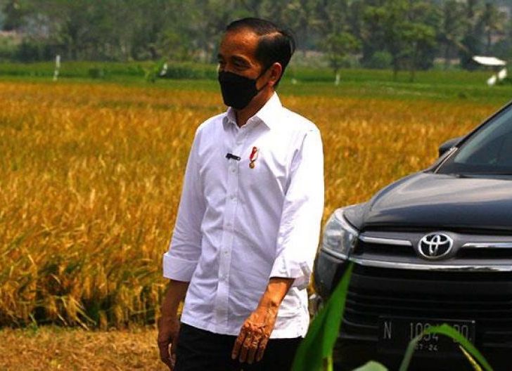 Photo of BEM UI Sudah Bukan Kritik, Tapi Menghina Presiden, Bisa Dijerat UU ITE