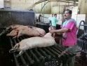  Penjualan Babi Panggang  di Mesir: Marak di Pinggiran Kairo