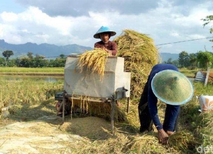 Photo of Bantu Tingkatan Frekuensi Panen Petani, LaNyalla Optimistis Indonesia Bisa Hentikan Impor Beras