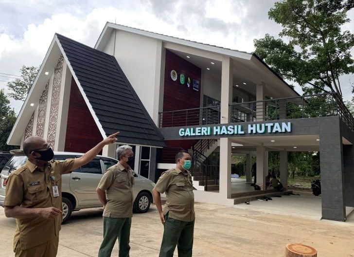 Photo of Kalbar Bakal Miliki Geleri Hasil Hutan Termegah di Indonesia