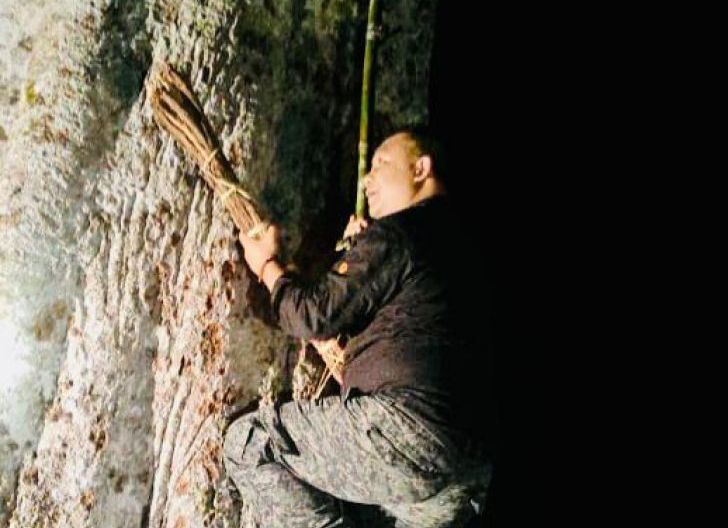 Photo of Ikut Panen Madu, Sekda Panjat Langsung Sarang Lebah Hutan