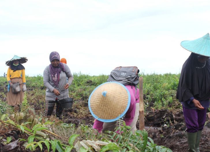Photo of Kubu Raya Prioritaskan Pembangunan Berbasis Pedesaan