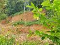 Kerap Lakukan Pengerukan Tanah di Dusun Kepayang, Izin PT DCM Dipertanyakan