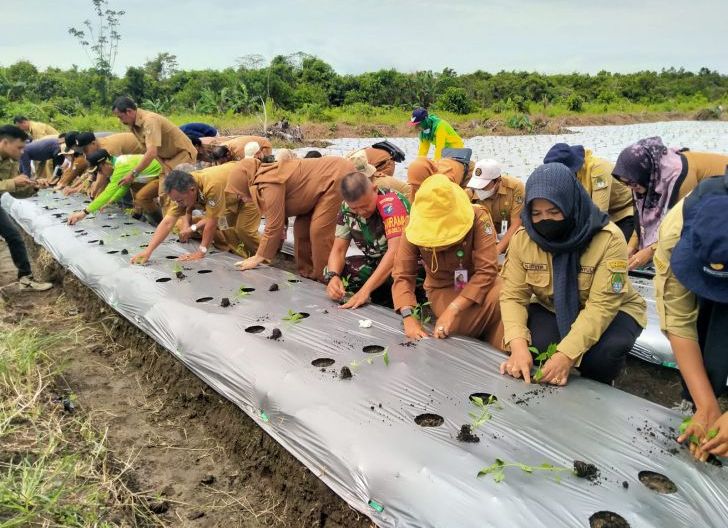 Photo of Dukung Penguatan Ketahanan Pangan Di Wilayah, Danramil Delta Pawan Hadiri Gerakan Tanam Cabai Kabupaten Ketapang Tahun 2023