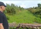 Photo of Anggota DPRD Singkawang Turun ke Lapangan Tinjau Kondisi Saluran Drainase