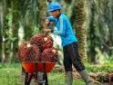 KERJAINDO Solusi Penyedia Tenaga Kerja Terbaik di Kalimantan