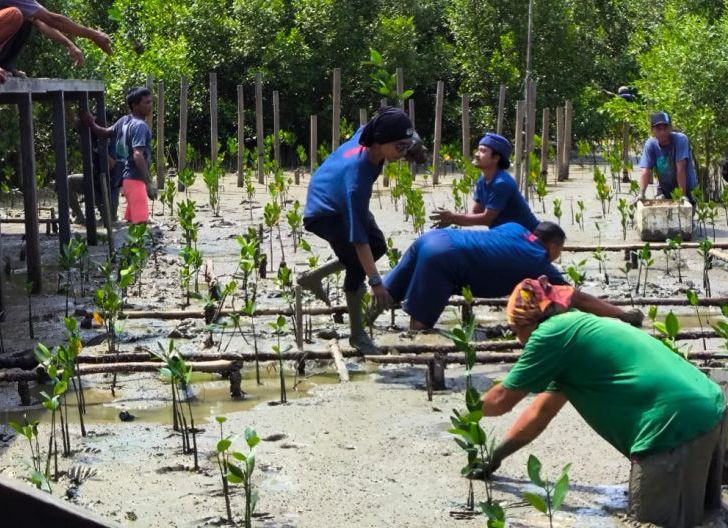 Photo of Mempawah Mangrove Park jadi Sasaran Penanaman Pohon dari Astra Motor Kalbar