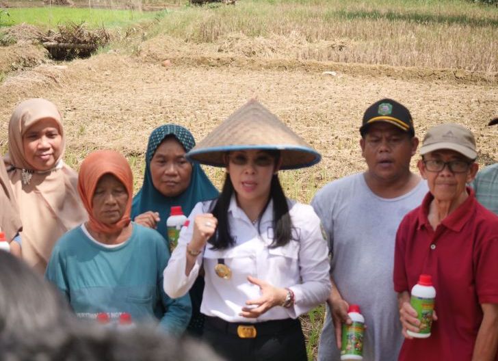 Photo of  Walikota Singkawang Sebut Petani Jadi Ujung Tombak Ketahanan Pangan