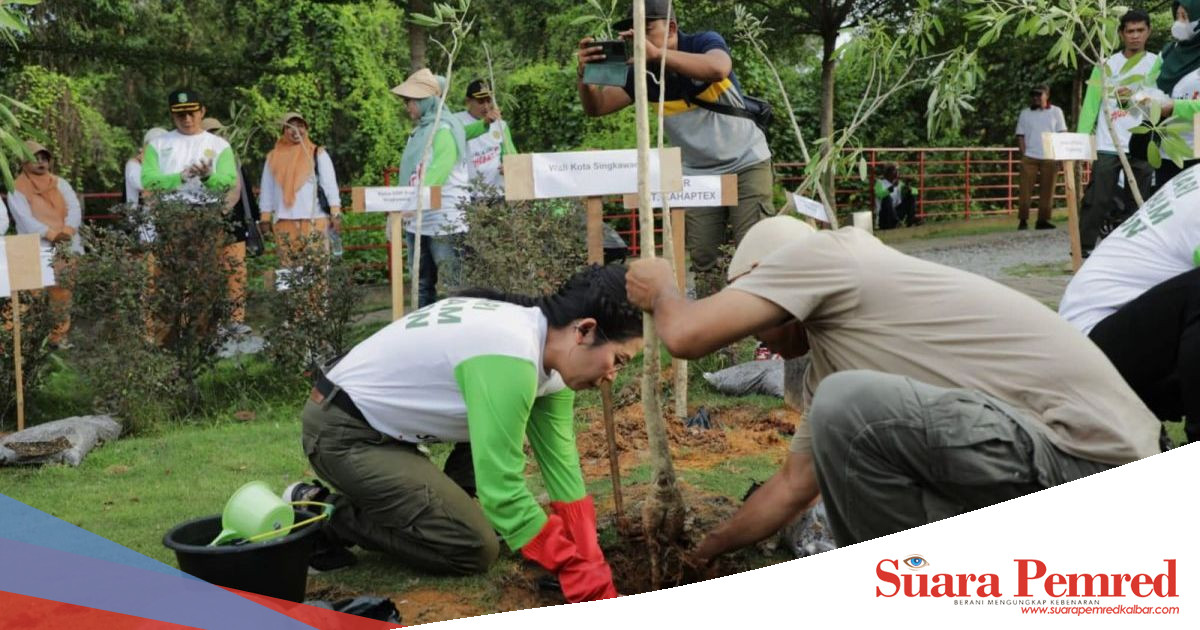 Sambut Hari Jadi Kota Singkawang ke-24, Walikota Beserta Jajaran Tanam ...