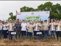 PLN Group Kalimantan Barat Tanam 5.500 Pohon di Pesisir Bengkayang pada HMPI 2025