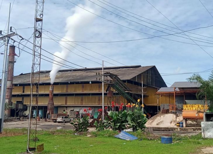 Photo of PLN Dorong Produktivitas Industri Sawit di Landak