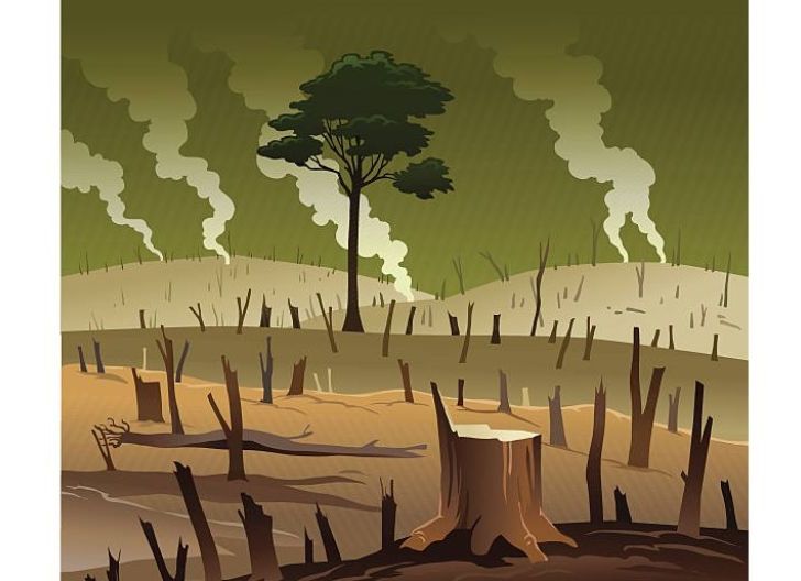 Photo of Pembangunan Tanpa Kendali: Lubang Kecil yang Menenggelamkan Masa Depan