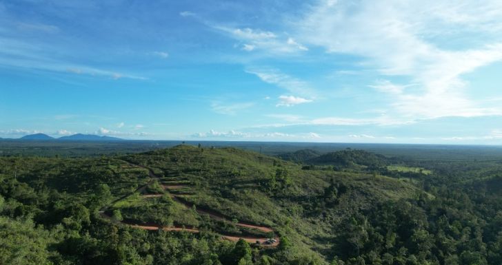 Belajar dari Hutan: Tentang Menjaga dan Bertumbuh Bersama? Refleksi Hari Hutan Sedunia