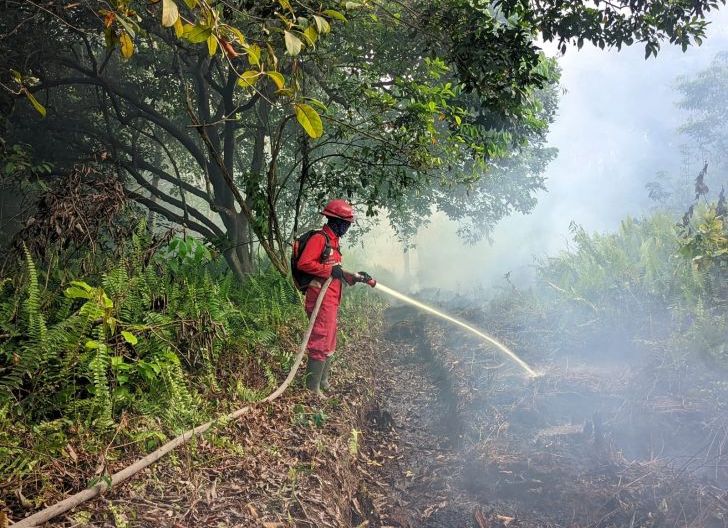Photo of Manggala Agni Belum Temukan Titik Api di Singkawang