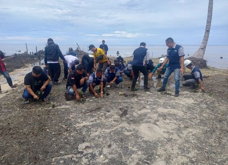 Photo of Cegah Abrasi, PT. PSP Berkolaborasi dengan PEJUANG Tanam Seribu Mangrove