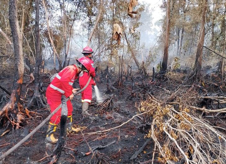 Photo of Manggala Agni Padamkan Kebakaran Lahan di Singkawang Seluas 4 Hektare