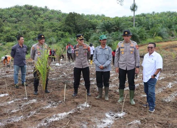 Photo of Sinergi Polda Kalbar dan PTPN IV Dorong Swasembada, Penanaman Jagung 10 Hektare Dimulai di Kembayan