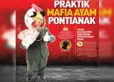 Photo of Praktik Mafia Ayam Pontianak, Diduga Ada Kelompok yang Sedang Bermain hingga Mahal