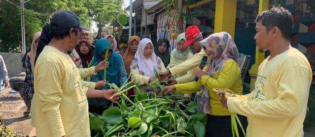 Pertamina Patra Niaga Raih PROPER Emas, Lewat Inovasi FAME dan Manfaat Eceng Gondok di Surabaya