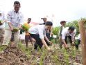 Buka Tanam Perdana Padi di Ngabang, Karolin Soroti Air, Irigasi, dan Bantuan Tepat