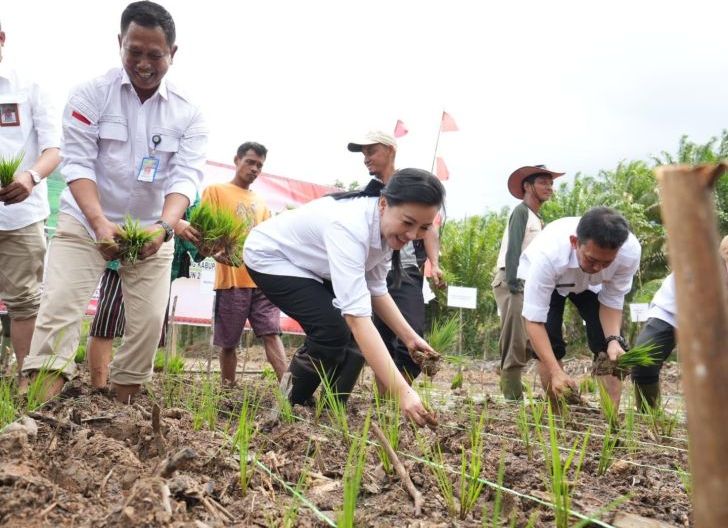 Photo of Buka Tanam Perdana Padi di Ngabang, Karolin Soroti Air, Irigasi, dan Bantuan Tepat