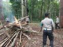 Polsek Seberuang Bongkar Arena Sabung Ayam di Dusun Sebalang