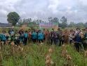 Kebersamaan di Lahan Jagung, Langkah Nyata Menuju Kemandirian Pangan