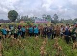 Photo of Kebersamaan di Lahan Jagung, Langkah Nyata Menuju Kemandirian Pangan