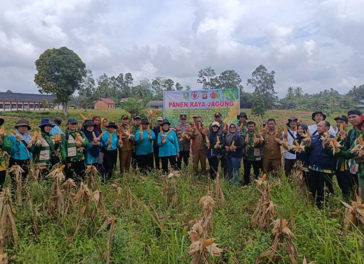 Photo of Kebersamaan di Lahan Jagung, Langkah Nyata Menuju Kemandirian Pangan