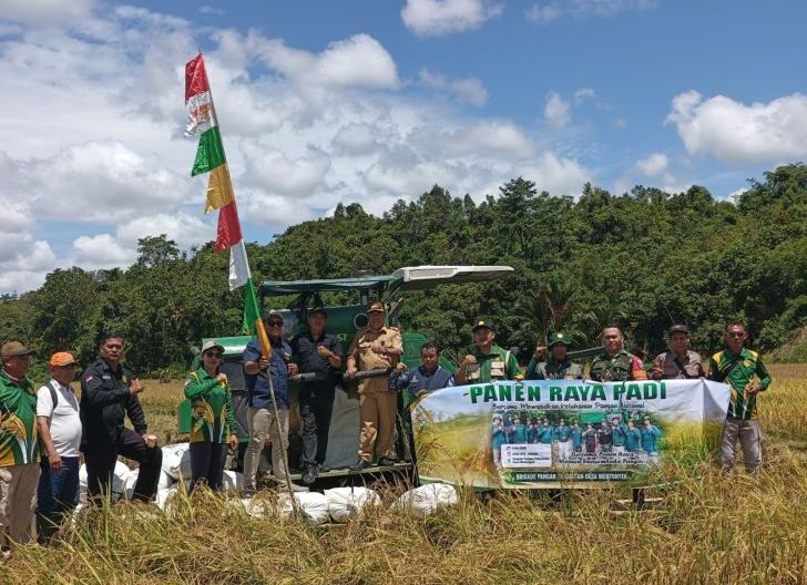 Photo of Koramil 1210-02/Mempawah Hulu Ikut Andil Dalam Panen Raya Padi Brigade Pangan Pakomoan Desa Mentonyek