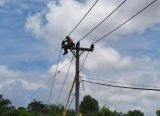 Photo of PLN Sanggau Perkuat Layanan Tingkatkan Keandalan Jaringan