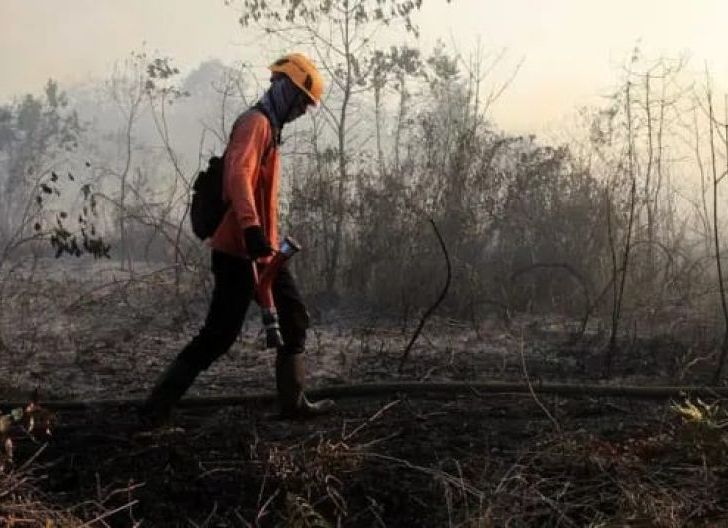 Photo of Pemerintah Perkuat Kesiapsiagaan Karhutla, Pencegahan Dini Diutamakan