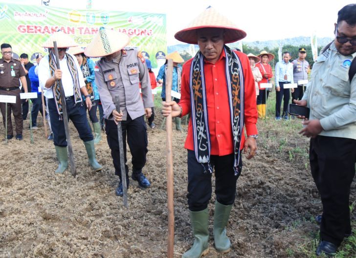 Photo of Wagup Kalbar Dorong Gerakan Tanam Jagung di Jagoi Babang untuk Dukung Swasembada Pangan