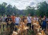 Photo of Ketahanan Pangan Nasional, Polsek Mukok Optimalkan Lahan Pertanian di Semuntai