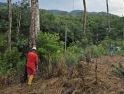 PLN Gelar GROWS di Desa Semade dan Tunang, Perkuat Keandalan Jaringan Listrik di Mempawah