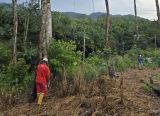 Photo of PLN Gelar GROWS di Desa Semade dan Tunang, Perkuat Keandalan Jaringan Listrik di Mempawah