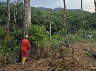 PLN Gelar GROWS di Desa Semade dan Tunang, Perkuat Keandalan Jaringan Listrik di Mempawah