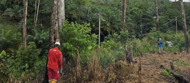 PLN Gelar GROWS di Desa Semade dan Tunang, Perkuat Keandalan Jaringan Listrik di Mempawah