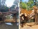 Warga Meliau Hilir Keluhkan Jembatan Temurak Belum Diperbaiki, Sudah Layangkan Surat Ke Bupati