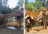Photo of Warga Meliau Hilir Keluhkan Jembatan Temurak Belum Diperbaiki, Sudah Layangkan Surat Ke Bupati