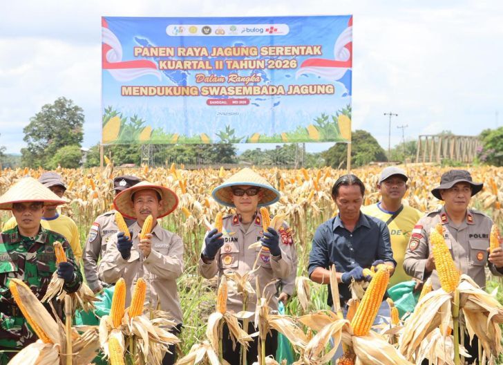 Photo of Panen Jagung Serentak Kuartal II 2026, Polres Sanggau Perkuat Swasembada Pangan