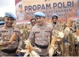 Photo of Bidpropam Polda Kalbar Bersama Polres Bengkayang Panen Raya Jagung
