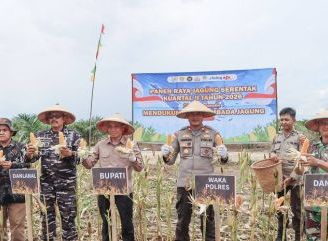 Tingkatkan Produktivitas Pertanian dan Ketahanan Pangan di Ketapang