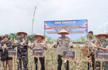 Tingkatkan Produktivitas Pertanian dan Ketahanan Pangan di Ketapang