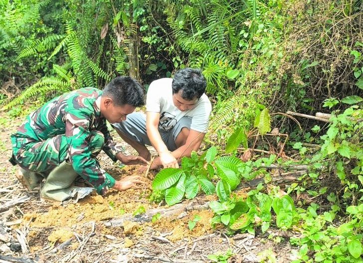 Photo of Penanaman Pohon Warnai Kegiatan TMMD di Sanggau 