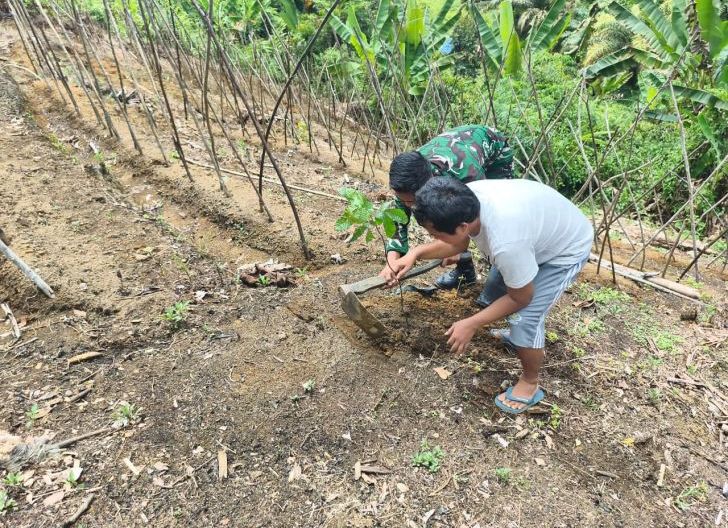 Photo of TMMD Ke-128 Wujudkan Indonesia Hijau dari Desa 