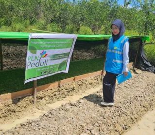 PLN Hidupkan Kembali Kejayaan Jeruk Tebas untuk Perkuat Ekonomi Masyarakat Kabupaten Sambas